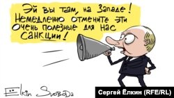 Карикатура Сергея Елкина