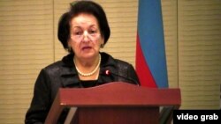 Ombudsman Elmira Süleymanova, 18 dekabr 2013