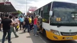 Басынан дау арылмаған "Semey Bus" жабылуы мүмкін